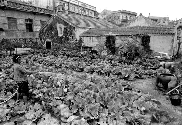 άӪROqkHC